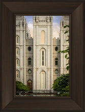 Load image into Gallery viewer, Salt Lake The Morning Breaks