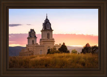 Load image into Gallery viewer, Manti His Call - Reap Where You Stand