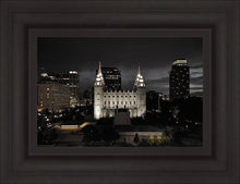 Load image into Gallery viewer, Salt Lake Summer's Eve