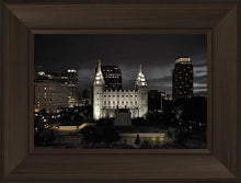 Load image into Gallery viewer, Salt Lake Summer's Eve
