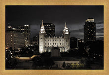 Load image into Gallery viewer, Salt Lake Summer's Eve