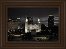 Load image into Gallery viewer, Salt Lake Summer's Eve