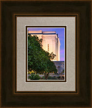 Load image into Gallery viewer, Mesa Temple Living Heritages