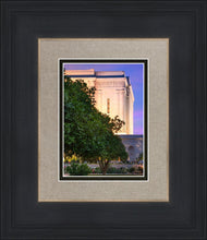 Load image into Gallery viewer, Mesa Temple Living Heritages
