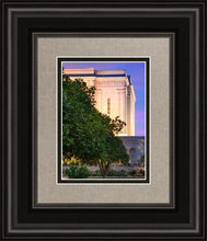 Load image into Gallery viewer, Mesa Temple Living Heritages