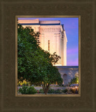 Load image into Gallery viewer, Mesa Temple Living Heritages