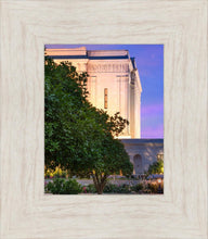 Load image into Gallery viewer, Mesa Temple Living Heritages