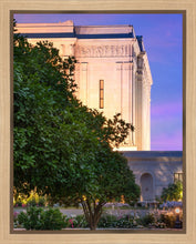 Load image into Gallery viewer, Mesa Temple Living Heritages Gallery Wrap