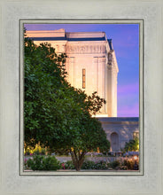 Load image into Gallery viewer, Mesa Temple Living Heritages
