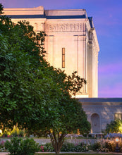 Load image into Gallery viewer, Mesa Temple Living Heritages
