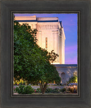 Load image into Gallery viewer, Mesa Temple Living Heritages