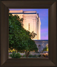 Load image into Gallery viewer, Mesa Temple Living Heritages