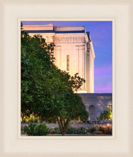 Load image into Gallery viewer, Mesa Temple Living Heritages
