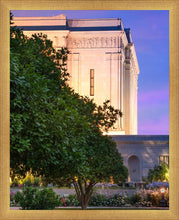 Load image into Gallery viewer, Mesa Temple Living Heritages
