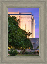 Load image into Gallery viewer, Mesa Temple Living Heritages