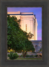 Load image into Gallery viewer, Mesa Temple Living Heritages