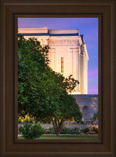 Load image into Gallery viewer, Mesa Temple Living Heritages