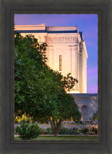 Load image into Gallery viewer, Mesa Temple Living Heritages