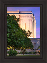 Load image into Gallery viewer, Mesa Temple Living Heritages