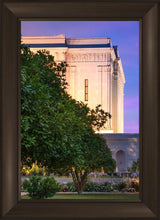 Load image into Gallery viewer, Mesa Temple Living Heritages