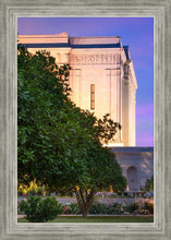Load image into Gallery viewer, Mesa Temple Living Heritages