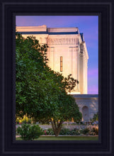 Load image into Gallery viewer, Mesa Temple Living Heritages