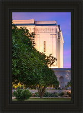 Load image into Gallery viewer, Mesa Temple Living Heritages