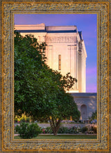 Load image into Gallery viewer, Mesa Temple Living Heritages