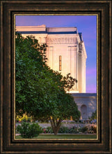Load image into Gallery viewer, Mesa Temple Living Heritages