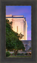 Load image into Gallery viewer, Mesa Temple Living Heritages