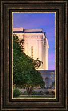 Load image into Gallery viewer, Mesa Temple Living Heritages