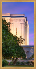 Load image into Gallery viewer, Mesa Temple Living Heritages