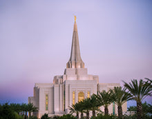 Load image into Gallery viewer, Gilbert Temple The Light Draweth Us To Him