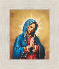 Load image into Gallery viewer, Our Rose of Tepeyac