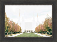 Load image into Gallery viewer, Sweet is The Work Washington DC Temple