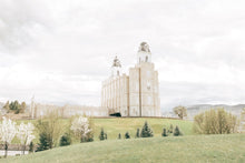 Load image into Gallery viewer, Sweet is The Work Manti Utah Temple