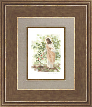 Load image into Gallery viewer, Watching Over His Vineyard