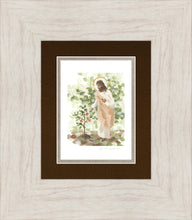 Load image into Gallery viewer, Watching Over His Vineyard