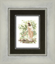 Load image into Gallery viewer, Watching Over His Vineyard