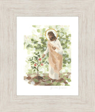 Load image into Gallery viewer, Watching Over His Vineyard