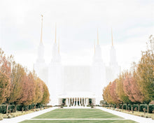 Load image into Gallery viewer, Sweet is The Work Washington DC Temple
