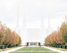 Load image into Gallery viewer, Sweet is The Work Washington DC Temple
