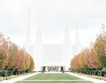 Load image into Gallery viewer, Sweet is The Work Washington DC Temple