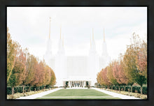 Load image into Gallery viewer, Sweet is The Work Washington DC Temple
