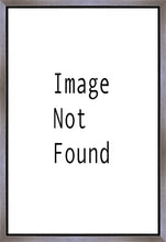 Load image into Gallery viewer, Sweet is The Work Provo City Center Utah Temple