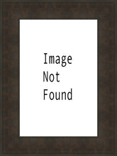 Load image into Gallery viewer, Sweet is The Work Provo City Center Utah Temple