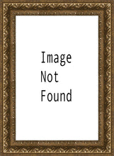 Load image into Gallery viewer, Sweet is The Work Provo City Center Utah Temple