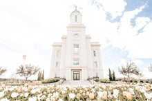 Load image into Gallery viewer, Sweet is The Work Cedar City Utah Temple