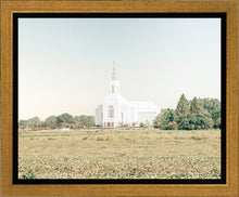 Load image into Gallery viewer, Burley Idaho Immaculate Embrace Blue