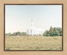 Load image into Gallery viewer, Burley Idaho Immaculate Embrace Blue
